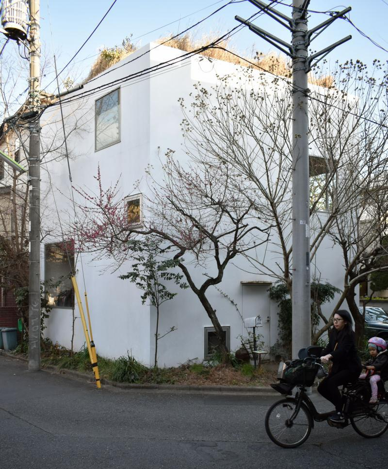 House in a Plum Grove by Kazuyo Sejima